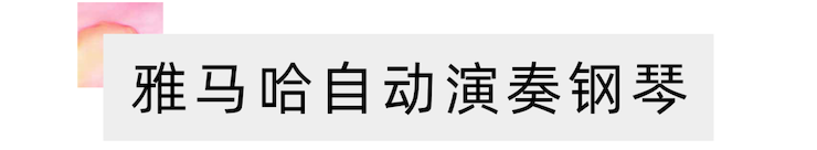 活动报道 | 远程艺术教育大师课活动——尊龙凯时特邀艺术家张奕明大师课